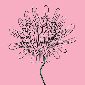 Meet your Posher, Evan